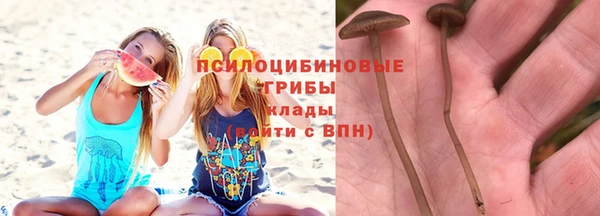 мяу мяу мука Арсеньев