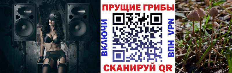 Галлюциногенные грибы Magic Shrooms  Спасск-Дальний 